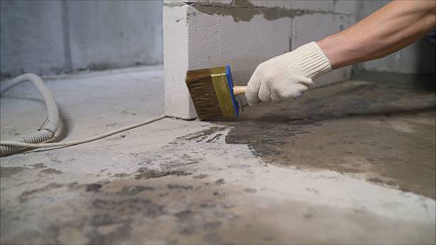24/7 Emergency Wet Basement Repair experts in Rossville, IN